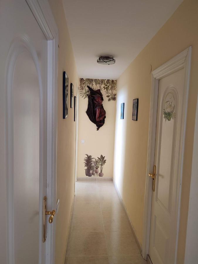 Apartamento en playa semi-privada Benalmádena Exterior foto